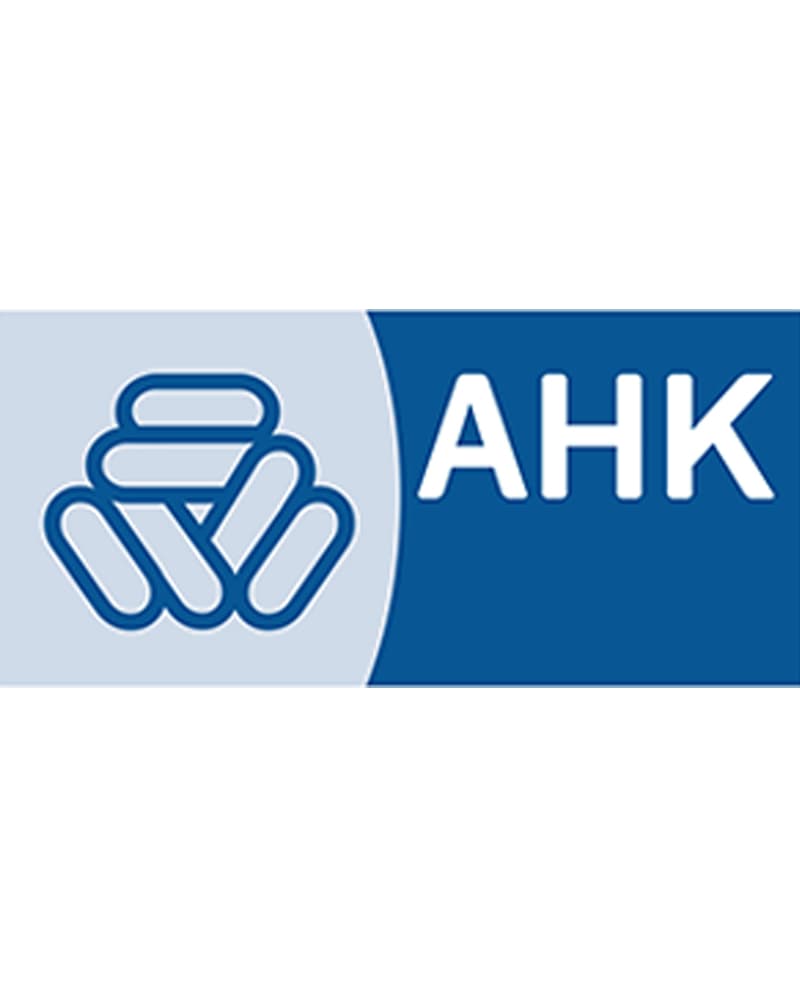 Camexa Logo Portraitformat without Text